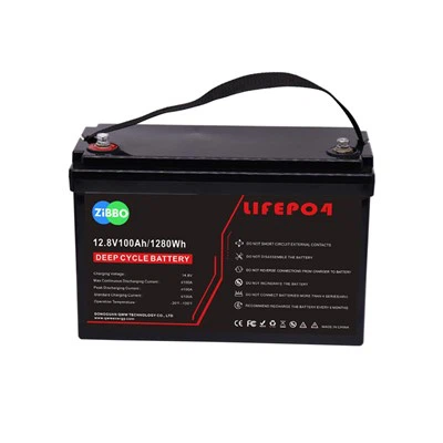 Batteria a ciclo profondo per camper da 12 V 100 Ah