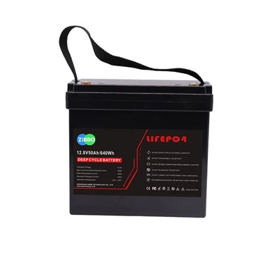 BATTERIA Li-FePO4 12V 50AH con BMS